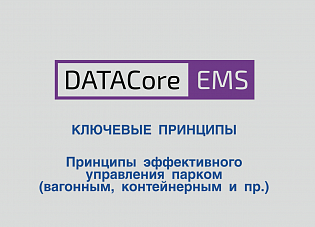 Как реализовано эффективное управление парком в DATACore: EMS